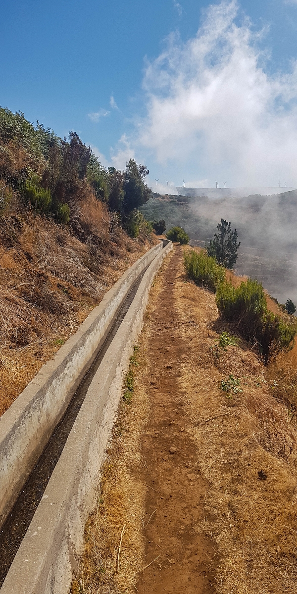 3 August 2021 Under the wind turbines — As far as the levada steps — photo 7