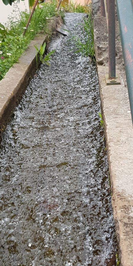 04.05.2019 Einlaufrunde auf dem Caniço-Trail um Garajau — Geodesico, Endäste der Levada do Blandy und derr Levada dos Tornos, Livramento — Foto 3