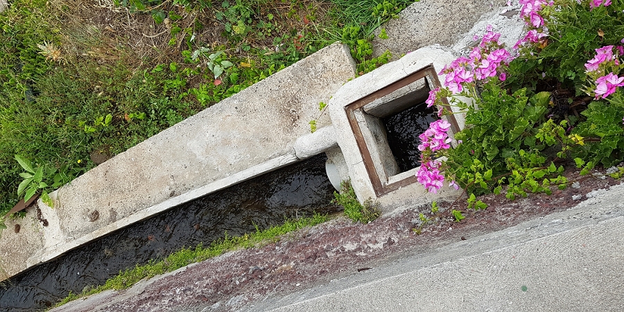 04.05.2019 Einlaufrunde auf dem Caniço-Trail um Garajau — Geodesico, Endäste der Levada do Blandy und derr Levada dos Tornos, Livramento — Foto 6
