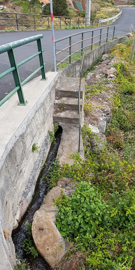 04.05.2019 Einlaufrunde auf dem Caniço-Trail um Garajau — Geodesico, Endäste der Levada do Blandy und derr Levada dos Tornos, Livramento — Foto 7