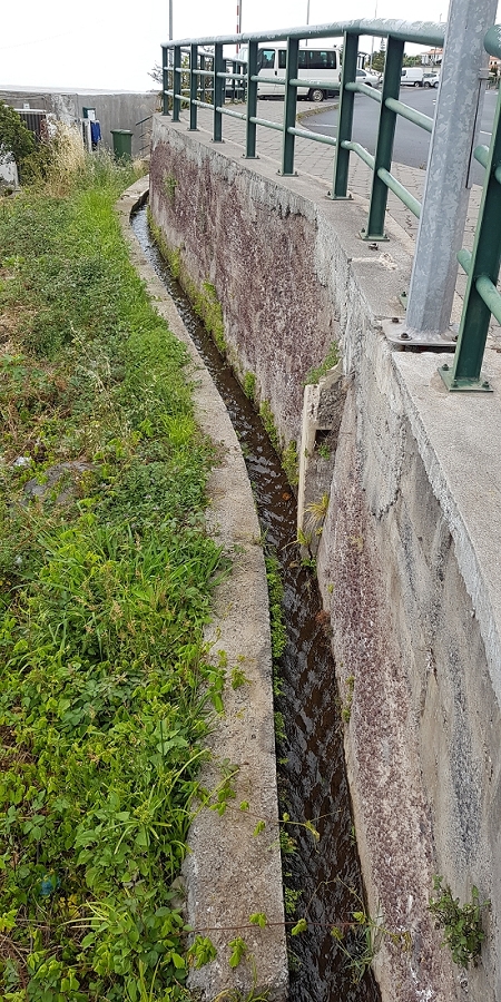 04.05.2019 Einlaufrunde auf dem Caniço-Trail um Garajau — Geodesico, Endäste der Levada do Blandy und derr Levada dos Tornos, Livramento — Foto 8