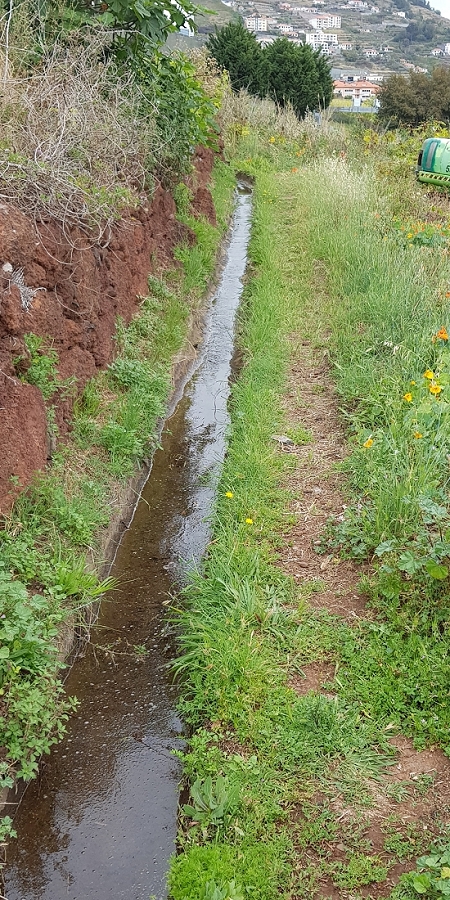 04.05.2019 Einlaufrunde auf dem Caniço-Trail um Garajau — Geodesico, Endäste der Levada do Blandy und derr Levada dos Tornos, Livramento — Foto 10