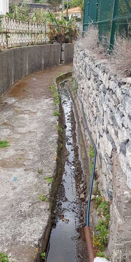 04.05.2019 Einlaufrunde auf dem Caniço-Trail um Garajau — Geodesico, Endäste der Levada do Blandy und derr Levada dos Tornos, Livramento — Foto 11