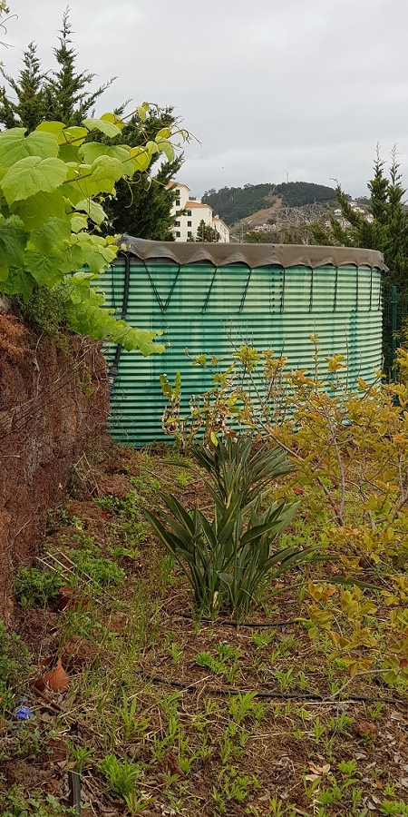 04.05.2019 Einlaufrunde auf dem Caniço-Trail um Garajau — Geodesico, Endäste der Levada do Blandy und derr Levada dos Tornos, Livramento — Foto 12