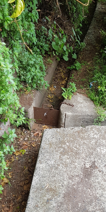 04.05.2019 Einlaufrunde auf dem Caniço-Trail um Garajau — Geodesico, Endäste der Levada do Blandy und derr Levada dos Tornos, Livramento — Foto 14