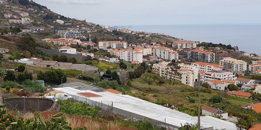 04.05.2019 Einlaufrunde auf dem Caniço-Trail um Garajau — Geodesico, Endäste der Levada do Blandy und derr Levada dos Tornos, Livramento — Foto 16