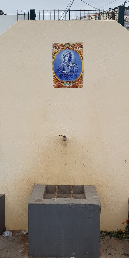 04.05.2019 Einlaufrunde auf dem Caniço-Trail um Garajau — Geodesico, Endäste der Levada do Blandy und derr Levada dos Tornos, Livramento — Foto 17