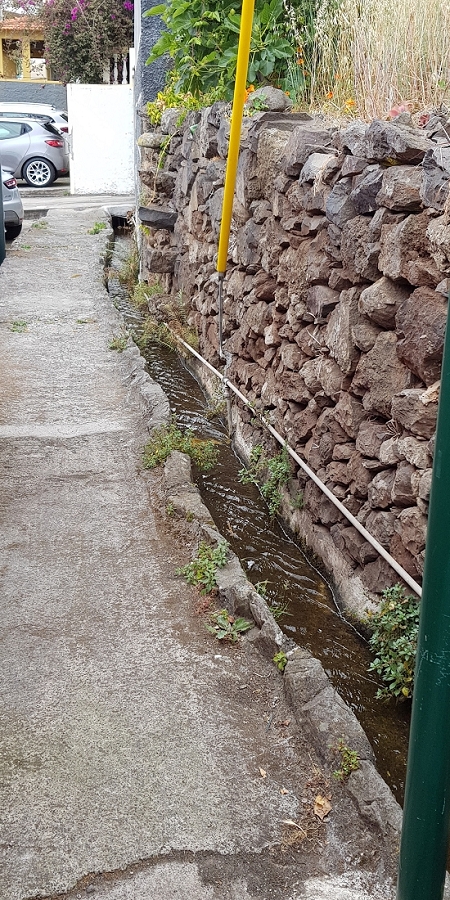 04.05.2019 Einlaufrunde auf dem Caniço-Trail um Garajau — Levada da Azenha, Relogio de Agua, Moinho da Vargem — Foto 1