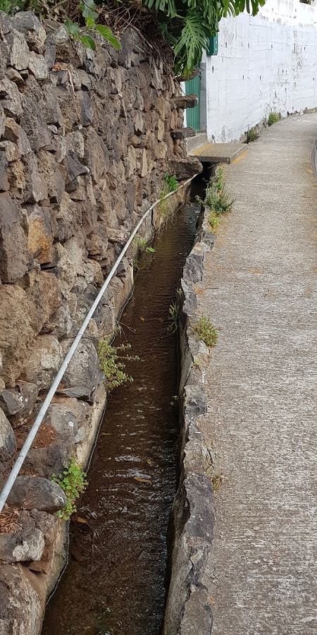 04.05.2019 Einlaufrunde auf dem Caniço-Trail um Garajau — Levada da Azenha, Relogio de Agua, Moinho da Vargem — Foto 2