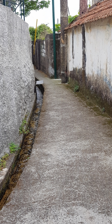 04.05.2019 Einlaufrunde auf dem Caniço-Trail um Garajau — Levada da Azenha, Relogio de Agua, Moinho da Vargem — Foto 3