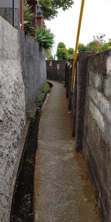 04.05.2019 Einlaufrunde auf dem Caniço-Trail um Garajau — Levada da Azenha, Relogio de Agua, Moinho da Vargem — Foto 4