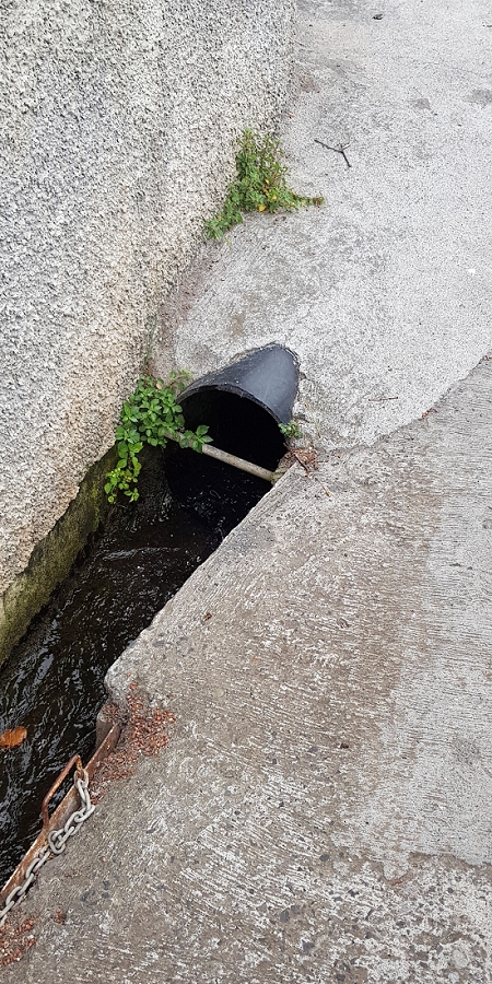 04.05.2019 Einlaufrunde auf dem Caniço-Trail um Garajau — Levada da Azenha, Relogio de Agua, Moinho da Vargem — Foto 5