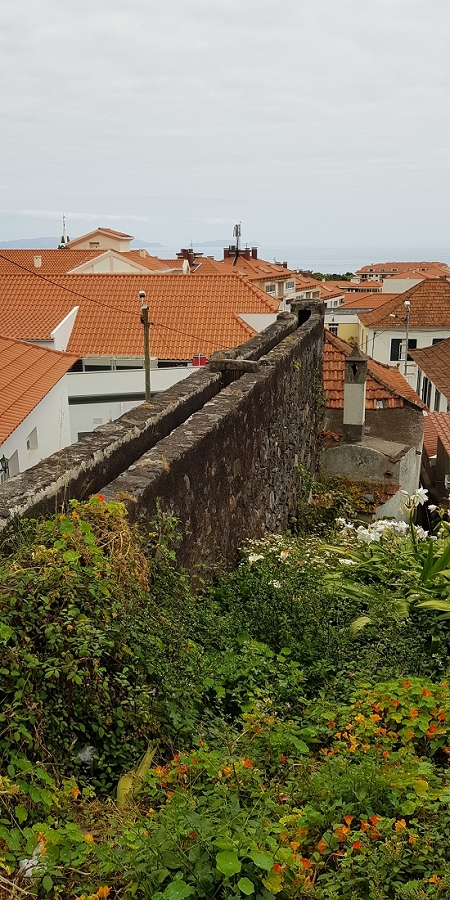 04.05.2019 Einlaufrunde auf dem Caniço-Trail um Garajau — Levada da Azenha, Relogio de Agua, Moinho da Vargem — Foto 7