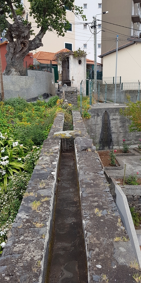 04.05.2019 Einlaufrunde auf dem Caniço-Trail um Garajau — Levada da Azenha, Relogio de Agua, Moinho da Vargem — Foto 11