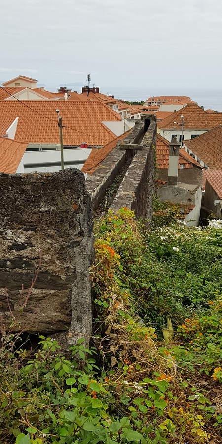 04.05.2019 Einlaufrunde auf dem Caniço-Trail um Garajau — Levada da Azenha, Relogio de Agua, Moinho da Vargem — Foto 13