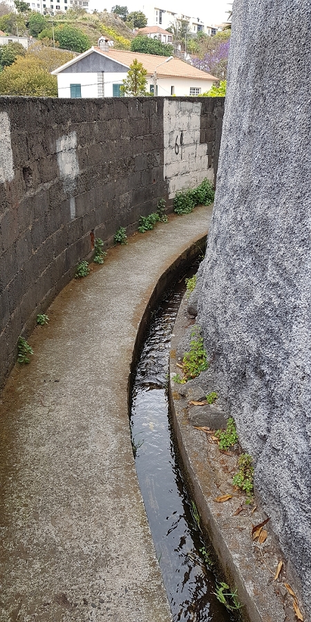 04.05.2019 Einlaufrunde auf dem Caniço-Trail um Garajau — Auf der Levada da Azenha — Foto 1
