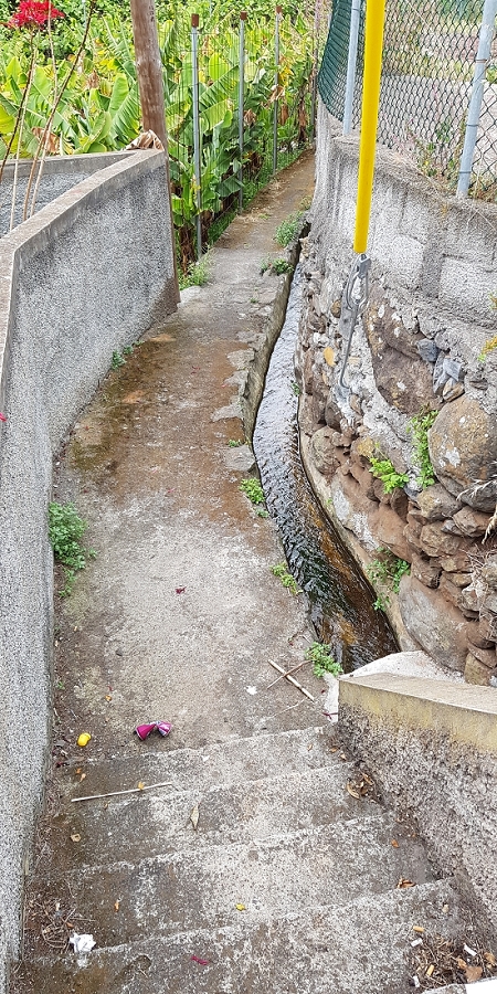 04.05.2019 Einlaufrunde auf dem Caniço-Trail um Garajau — Auf der Levada da Azenha — Foto 2