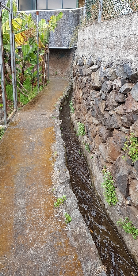 04.05.2019 Einlaufrunde auf dem Caniço-Trail um Garajau — Auf der Levada da Azenha — Foto 3