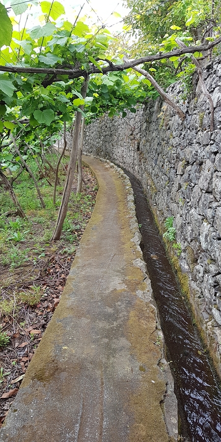 04.05.2019 Einlaufrunde auf dem Caniço-Trail um Garajau — Auf der Levada da Azenha — Foto 4