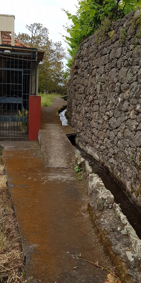 04.05.2019 Einlaufrunde auf dem Caniço-Trail um Garajau — Auf der Levada da Azenha — Foto 5