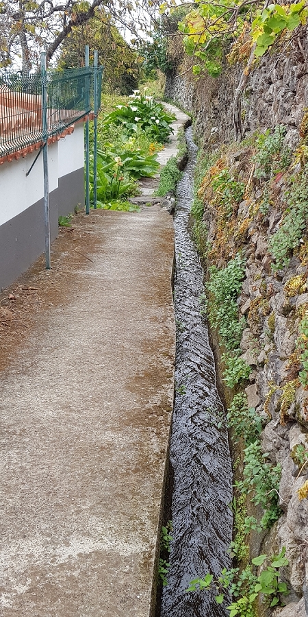 04.05.2019 Einlaufrunde auf dem Caniço-Trail um Garajau — Auf der Levada da Azenha — Foto 6