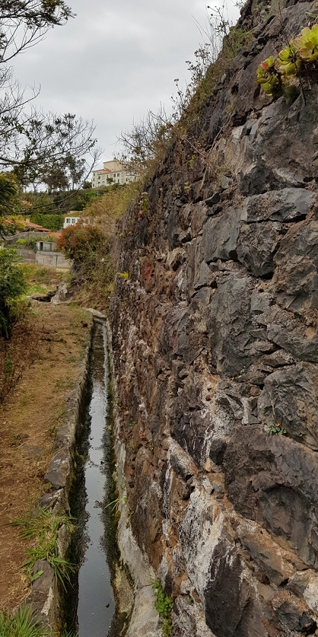 04.05.2019 Einlaufrunde auf dem Caniço-Trail um Garajau — Auf der Levada da Azenha — Foto 11