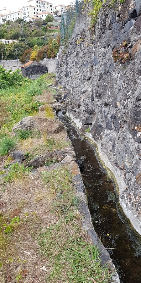 04.05.2019 Einlaufrunde auf dem Caniço-Trail um Garajau — Auf der Levada da Azenha — Foto 13