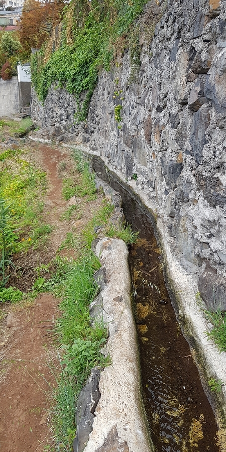 04.05.2019 Einlaufrunde auf dem Caniço-Trail um Garajau — Auf der Levada da Azenha — Foto 14