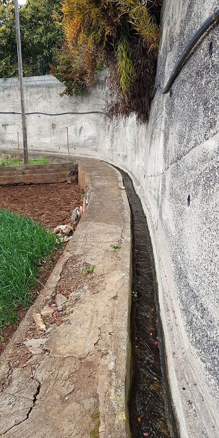 04.05.2019 Einlaufrunde auf dem Caniço-Trail um Garajau — Auf der Levada da Azenha — Foto 16