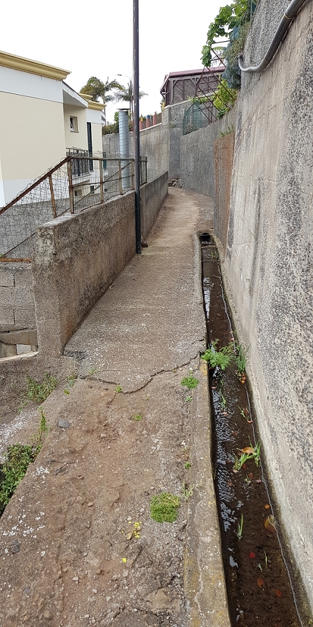 04.05.2019 Einlaufrunde auf dem Caniço-Trail um Garajau — Auf der Levada da Azenha — Foto 17