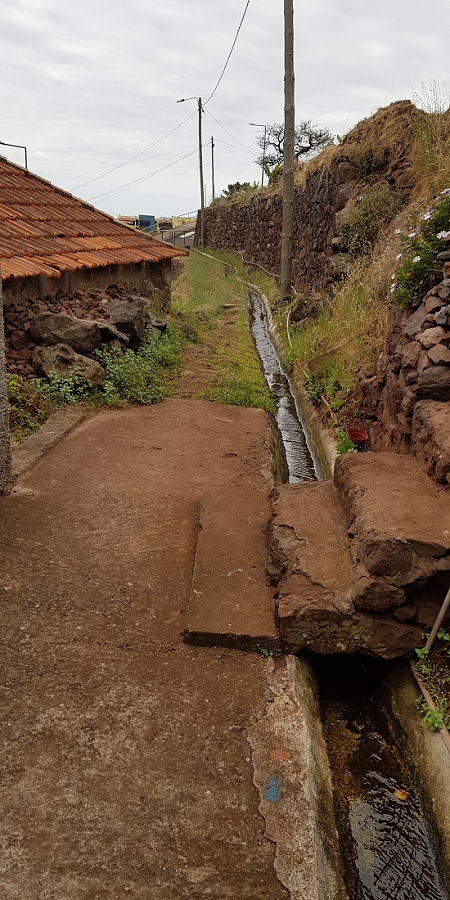 04.05.2019 Einlaufrunde auf dem Caniço-Trail um Garajau — Auf der Levada da Azenha — Foto 18