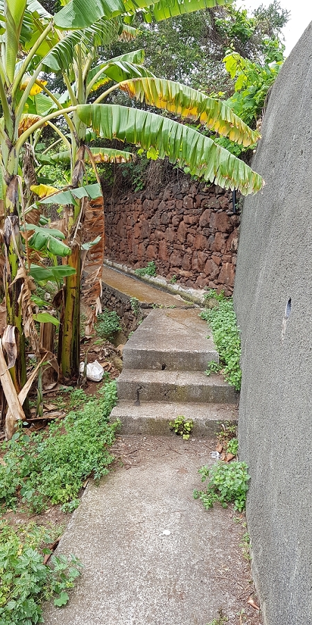 04.05.2019 Einlaufrunde auf dem Caniço-Trail um Garajau — Auf der Levada da Azenha — Foto 20
