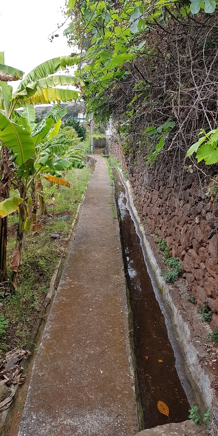 04.05.2019 Einlaufrunde auf dem Caniço-Trail um Garajau — Auf der Levada da Azenha — Foto 21