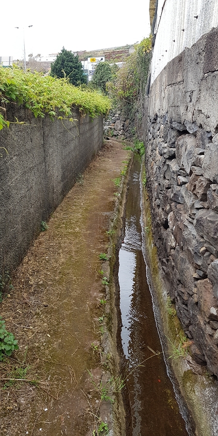 04.05.2019 Einlaufrunde auf dem Caniço-Trail um Garajau — Auf der Levada da Azenha — Foto 22