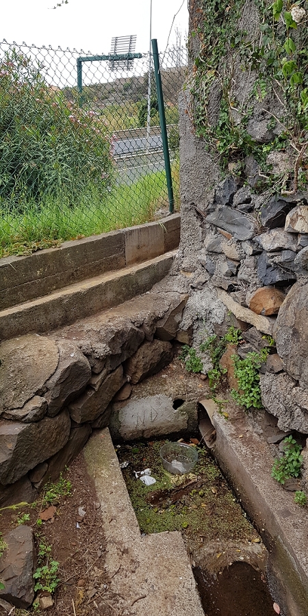 04.05.2019 Einlaufrunde auf dem Caniço-Trail um Garajau — Auf der Levada da Azenha — Foto 23