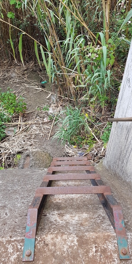 04.05.2019 Einlaufrunde auf dem Caniço-Trail um Garajau — Die Bachunterführung der Ribeira do Livramento — Foto 3