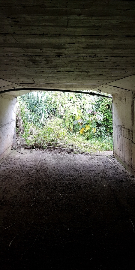 04.05.2019 Einlaufrunde auf dem Caniço-Trail um Garajau — Die Bachunterführung der Ribeira do Livramento — Foto 7