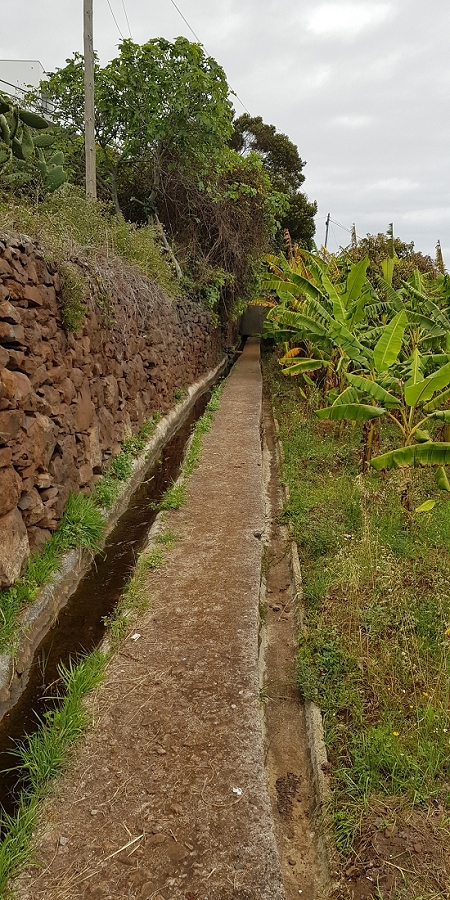 04.05.2019 Einlaufrunde auf dem Caniço-Trail um Garajau — Auf Wegen, Levadas, Trampelpfaden und über Bachbette zurück zum Ausgangspunkt — Foto 2