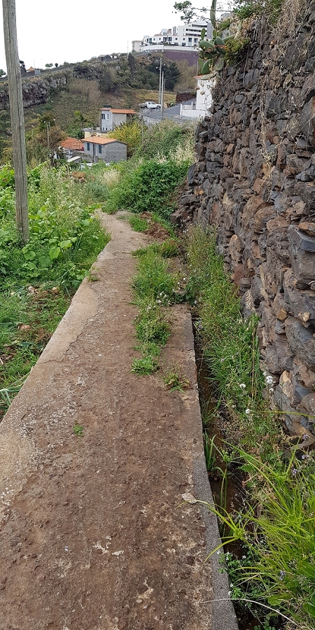 04.05.2019 Einlaufrunde auf dem Caniço-Trail um Garajau — Auf Wegen, Levadas, Trampelpfaden und über Bachbette zurück zum Ausgangspunkt — Foto 3