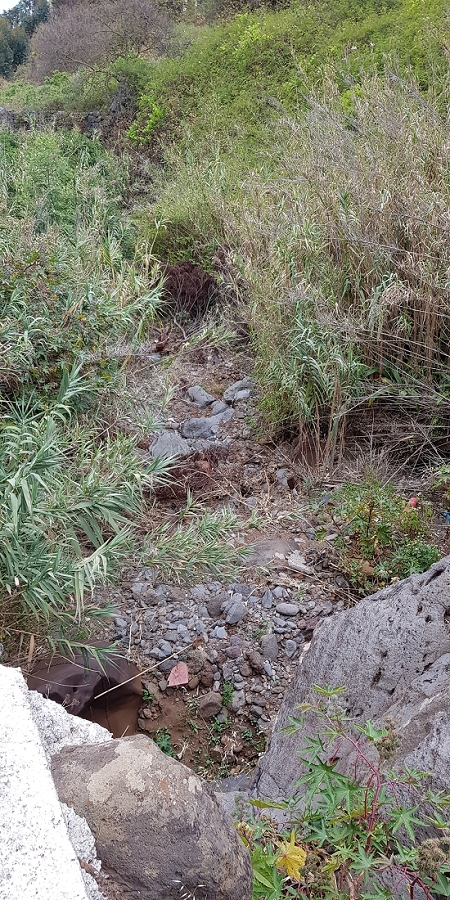 04.05.2019 Einlaufrunde auf dem Caniço-Trail um Garajau — Auf Wegen, Levadas, Trampelpfaden und über Bachbette zurück zum Ausgangspunkt — Foto 7
