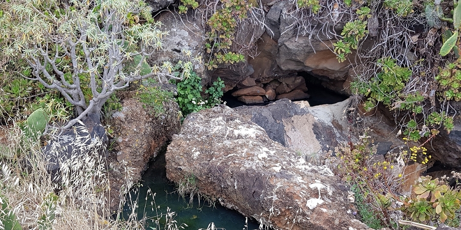 04.05.2019 Einlaufrunde auf dem Caniço-Trail um Garajau — Auf Wegen, Levadas, Trampelpfaden und über Bachbette zurück zum Ausgangspunkt — Foto 18
