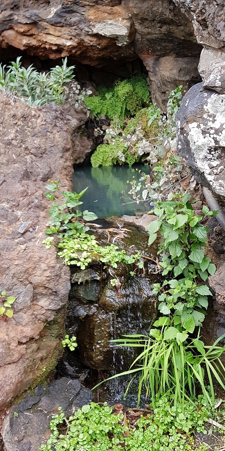 04.05.2019 Einlaufrunde auf dem Caniço-Trail um Garajau — Auf Wegen, Levadas, Trampelpfaden und über Bachbette zurück zum Ausgangspunkt — Foto 20