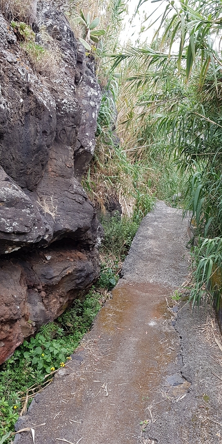 04.05.2019 Einlaufrunde auf dem Caniço-Trail um Garajau — Auf Wegen, Levadas, Trampelpfaden und über Bachbette zurück zum Ausgangspunkt — Foto 21