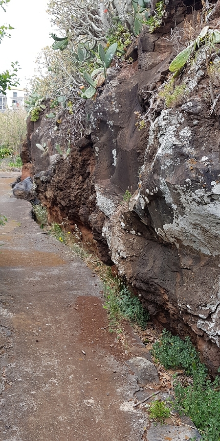 04.05.2019 Einlaufrunde auf dem Caniço-Trail um Garajau — Auf Wegen, Levadas, Trampelpfaden und über Bachbette zurück zum Ausgangspunkt — Foto 22