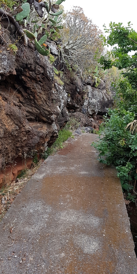 04.05.2019 Einlaufrunde auf dem Caniço-Trail um Garajau — Auf Wegen, Levadas, Trampelpfaden und über Bachbette zurück zum Ausgangspunkt — Foto 23