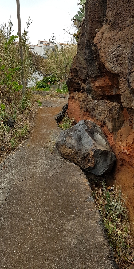 04.05.2019 Einlaufrunde auf dem Caniço-Trail um Garajau — Auf Wegen, Levadas, Trampelpfaden und über Bachbette zurück zum Ausgangspunkt — Foto 24