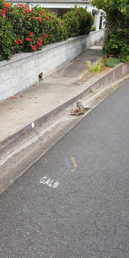 04.05.2019 Einlaufrunde auf dem Caniço-Trail um Garajau — Auf Wegen, Levadas, Trampelpfaden und über Bachbette zurück zum Ausgangspunkt — Foto 25