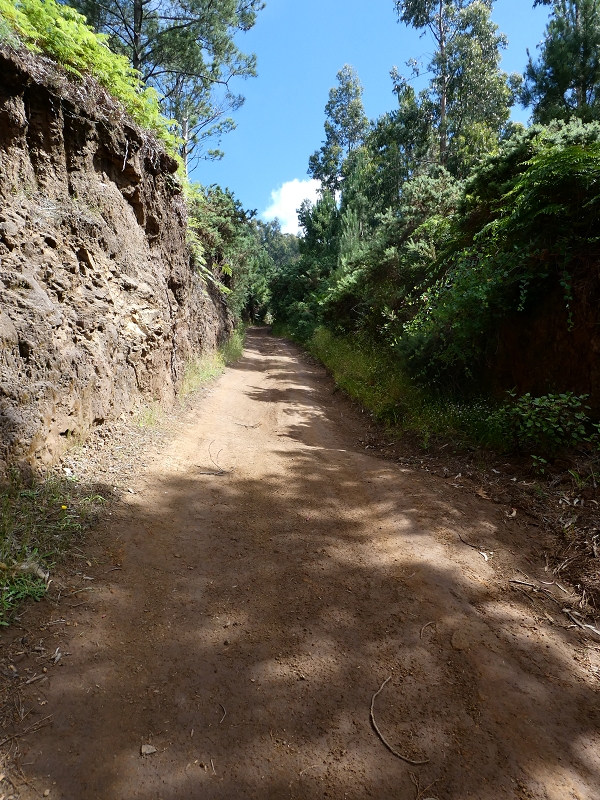 04.07.2018 Rundwanderung entlang und um die Levada dos Marinheiros — Aufstieg zum Reservoir der Levada dos Marinheiros — Foto 1