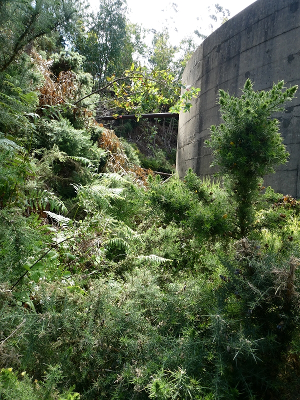 04.07.2018 Rundwanderung entlang und um die Levada dos Marinheiros — Aufstieg zum Reservoir der Levada dos Marinheiros — Foto 9