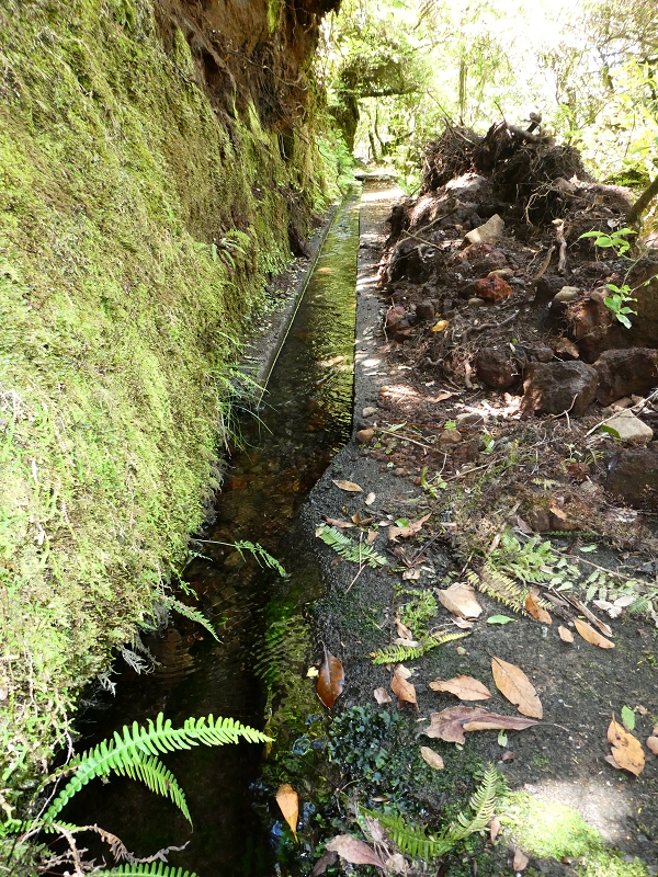 Levada dos Marinheiros — Os primeiros metros — foto 1